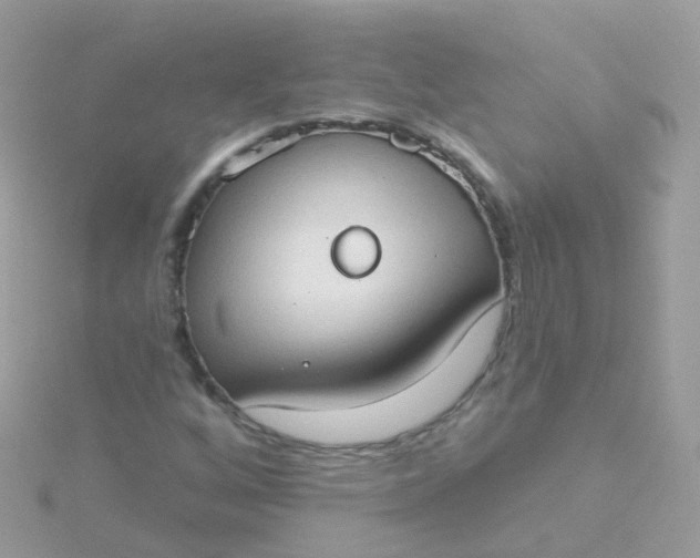 X0000115671256200911251723