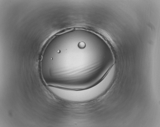 X0000115671260200911251723