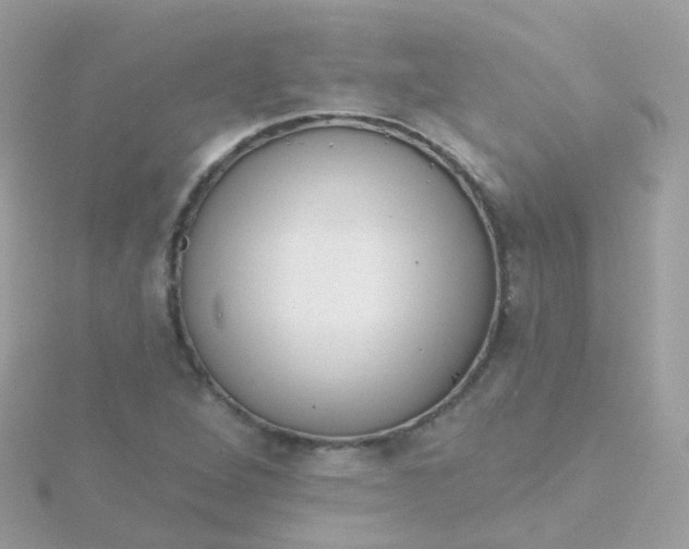 X0000115671264200911251723