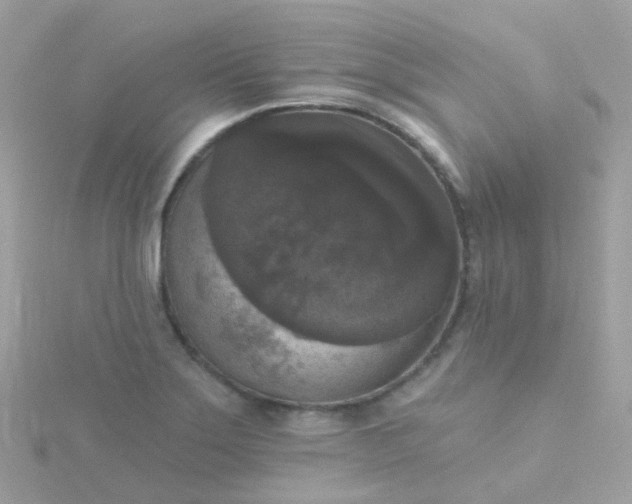 X0000115671275200911251723