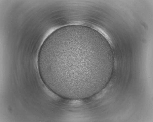 X0000115671283200911251723