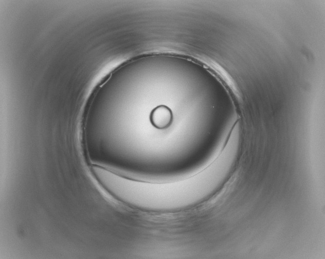 X0000115671285200911251723