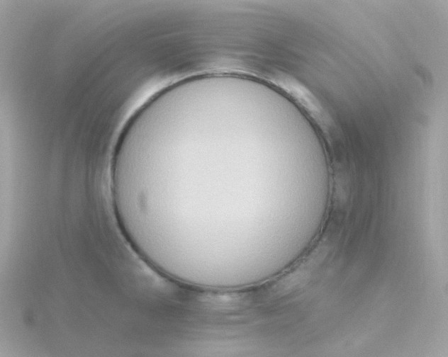 X0000115671286200911251722