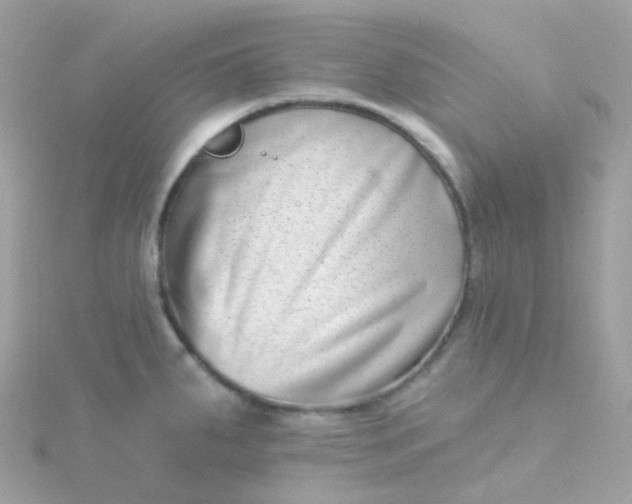 X0000115671287200911251722