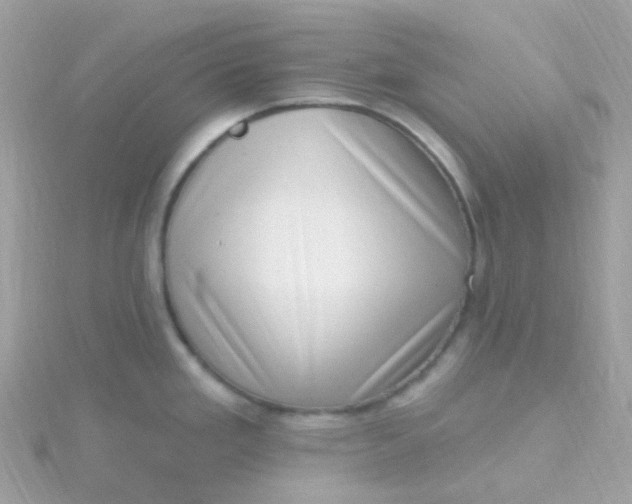 X0000115671293200911251722