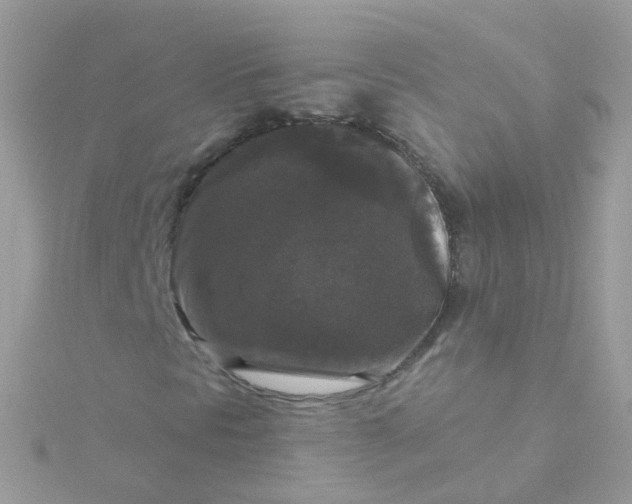 X0000115671297200911251722
