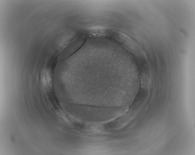 X0000115671298200911251722