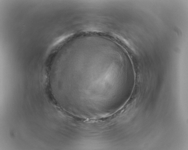 X0000115671303200911251722