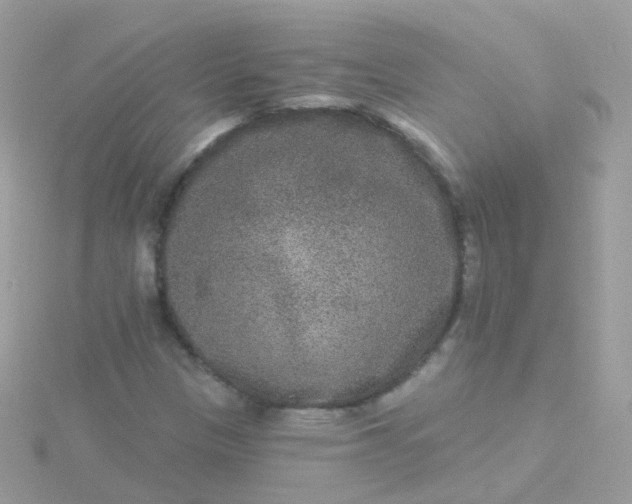 X0000115671305200911251722