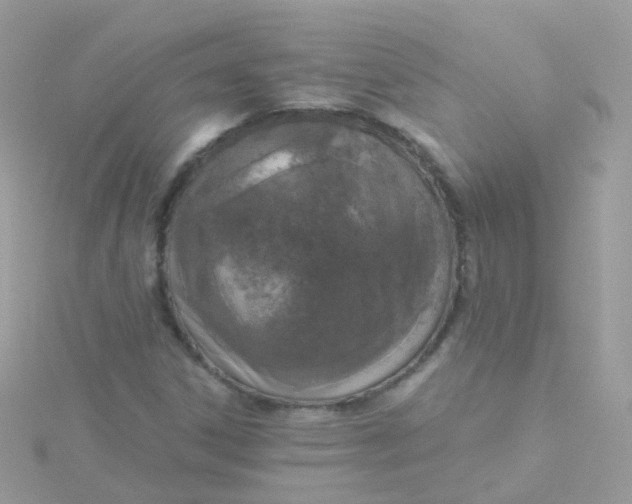 X0000115671306200911251722