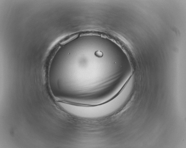 X0000115671310200911251722