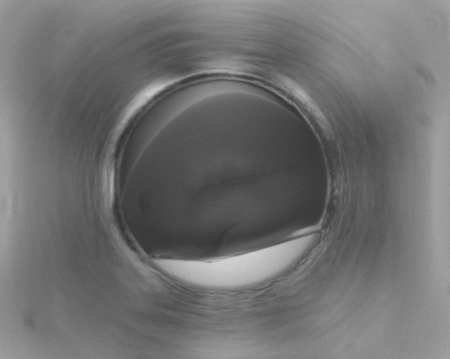 X0000115671323200911251722