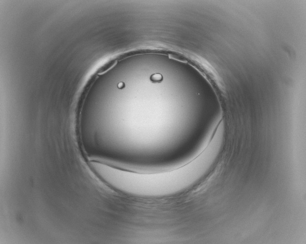 X0000115671326200911251722