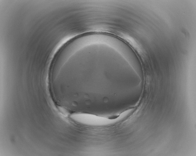 X0000115671331200911251722