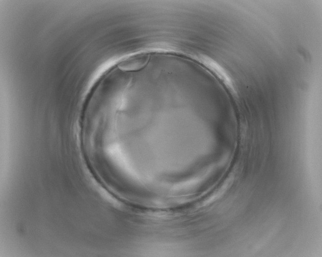 X0000115671334200911251722