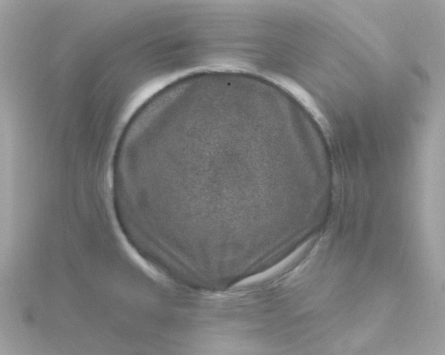 X0000115671335200911251722
