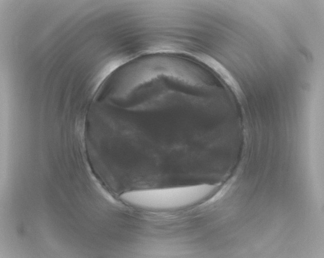 X0000115671337200911251722