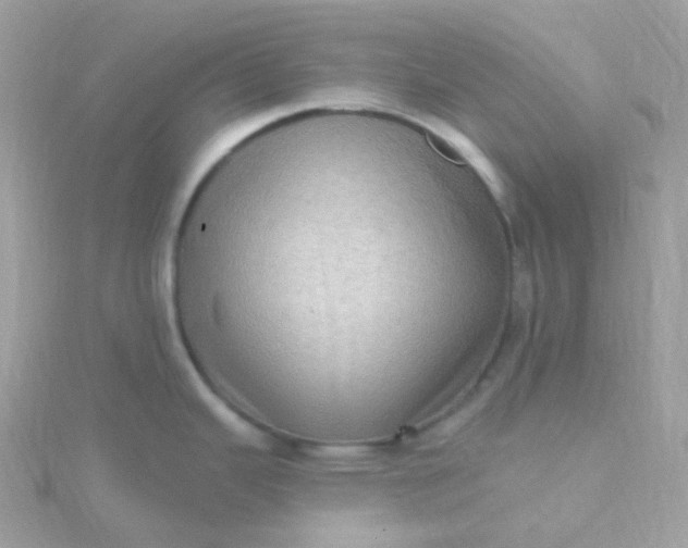 X0000115671343200911251722