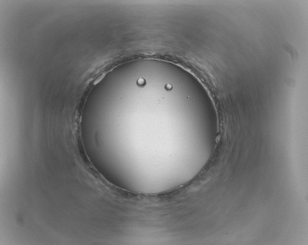 X0000115671349200911251722