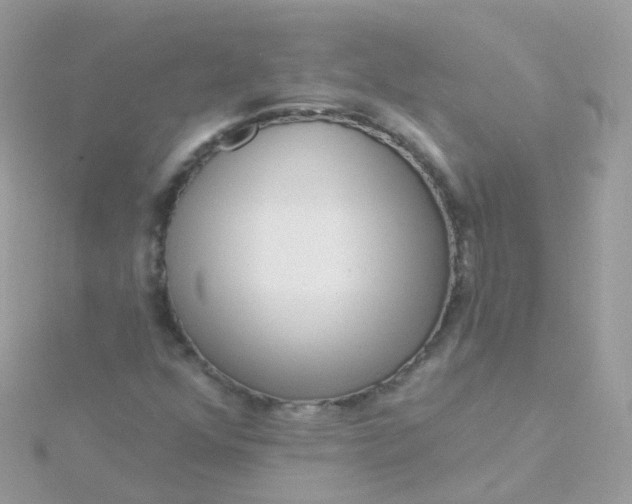 X0000115671352200911251722