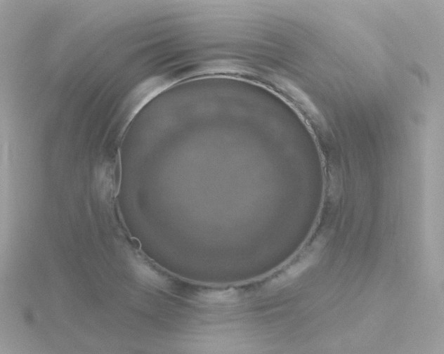 X0000115671369200911251721