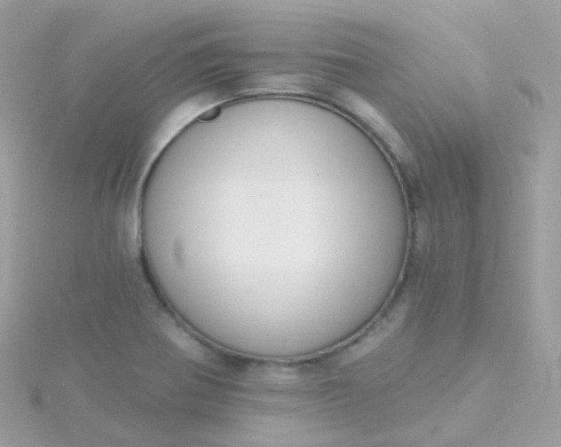 X0000115671370200911251721