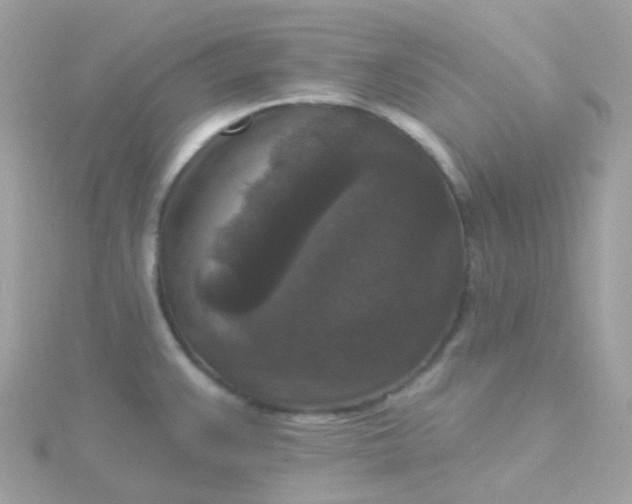 X0000115671383200911251721