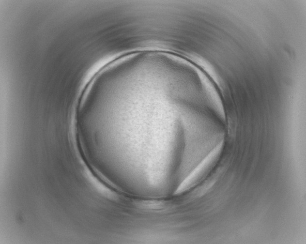 X0000115671387200911251721
