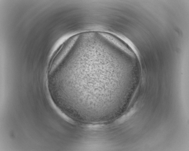 X0000115671389200911251721