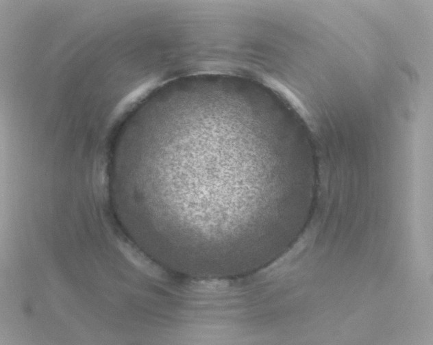 X0000115671403200911251721