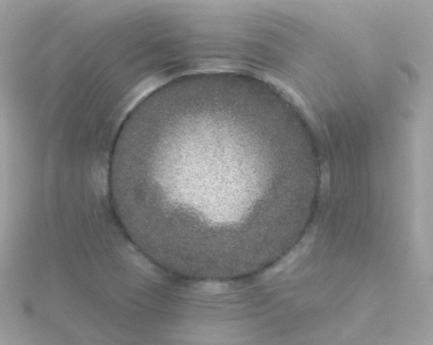 X0000115671409200911251721