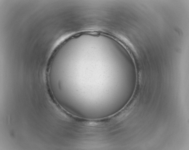 X0000115671412200911251721