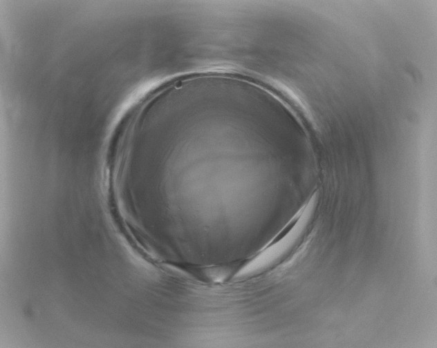 X0000115671414200911251721