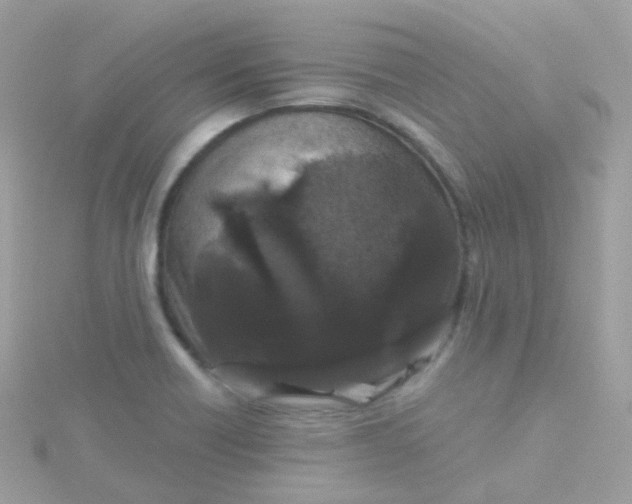 X0000115671418200911251721