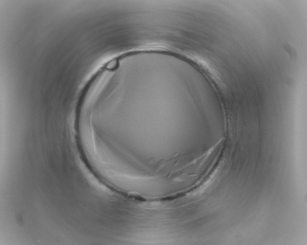 X0000115671422200911251721