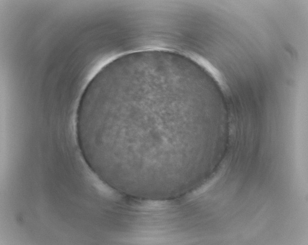 X0000115671423200911251721