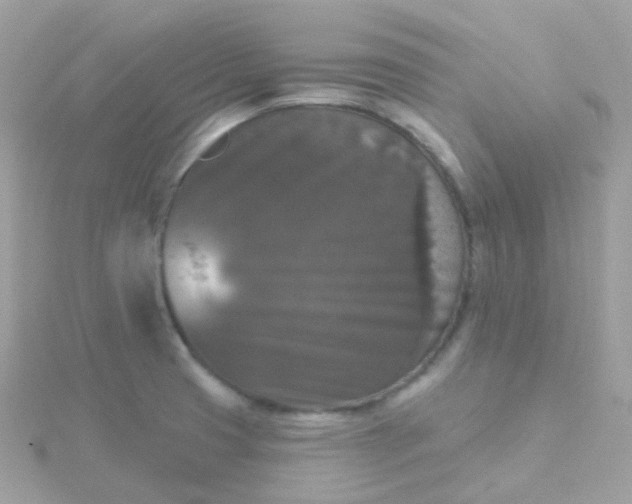 X0000115671425200911251721