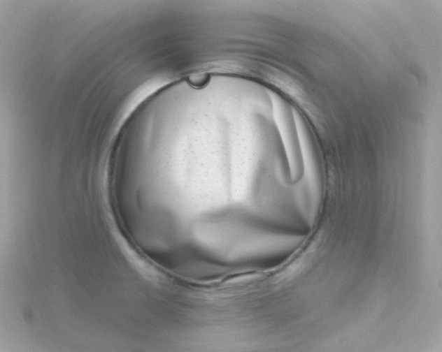 X0000115671426200911251721