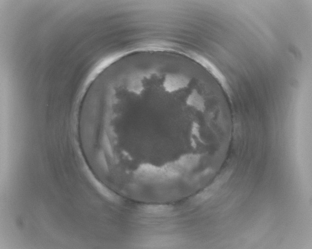 X0000115671429200911251721