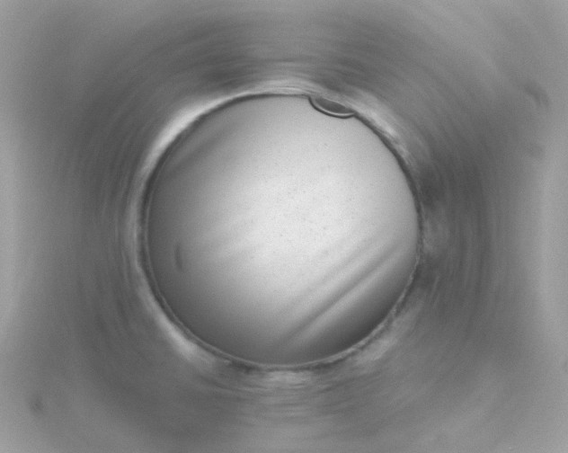 X0000115671430200911251721