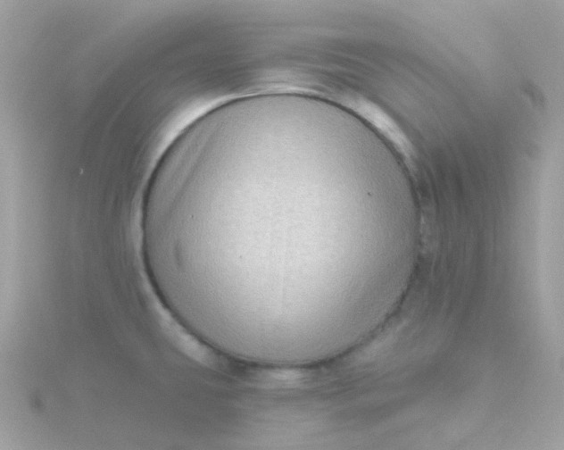 X0000115671431200911251721