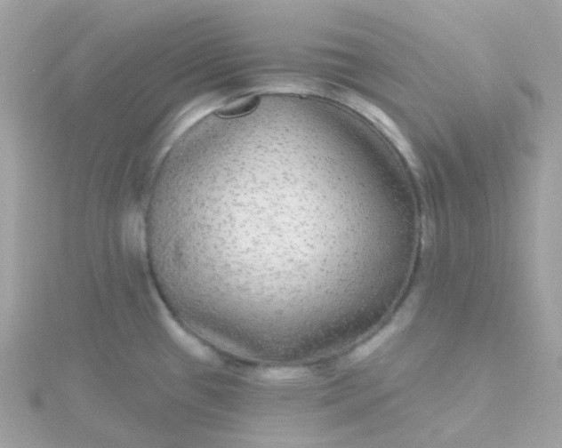 X0000115671433200911251721