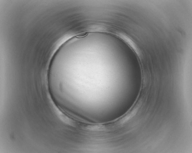 X0000115671434200911251721