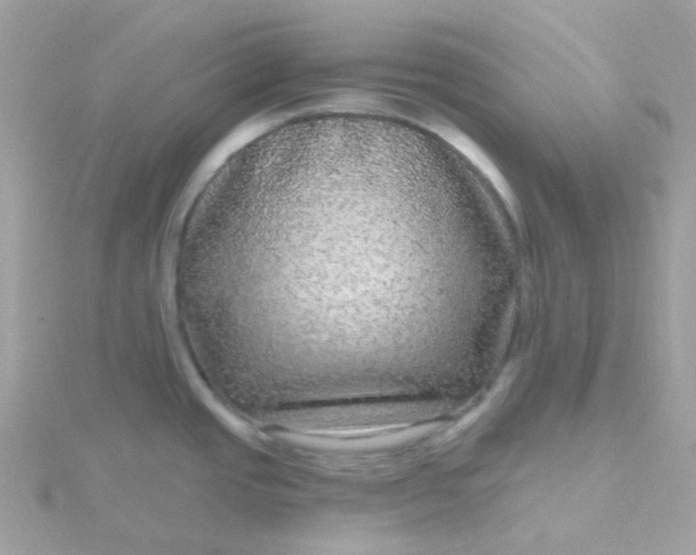X0000115671437200911251721