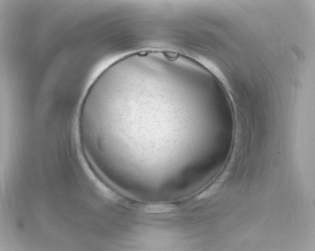 X0000115671440200911251721