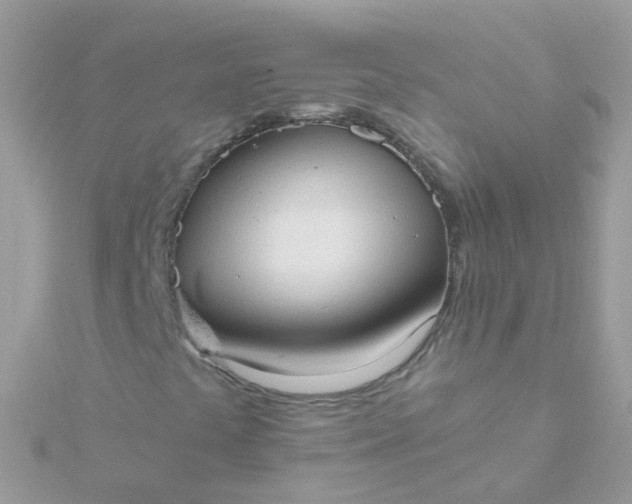 X0000115671441200911251721