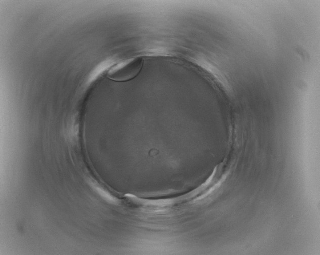 X0000115671450200911251720