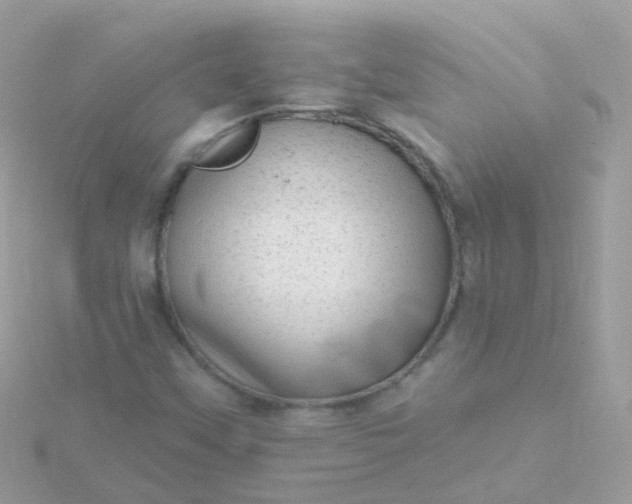X0000115671451200911251720