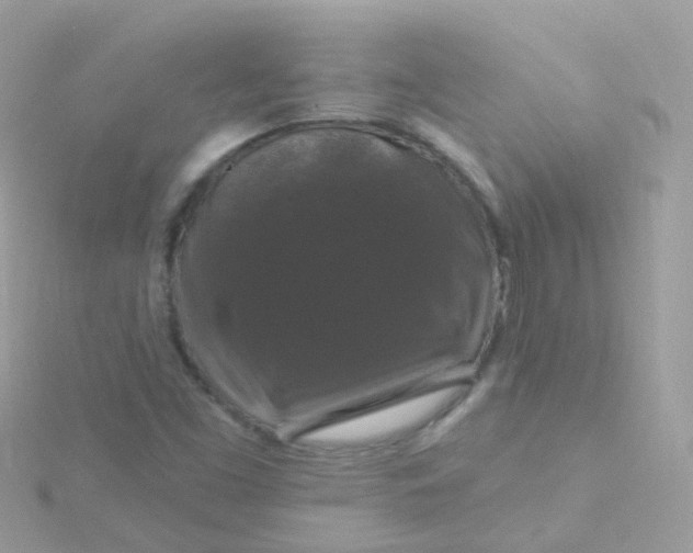 X0000115671453200911251720