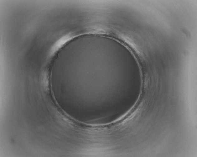 X0000115671455200911251720